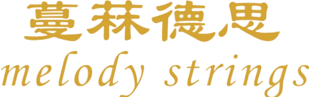 Melody Strings Music Academy logo